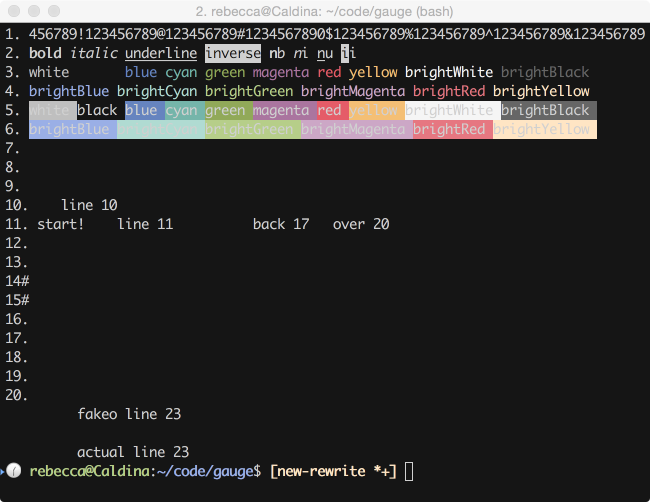 Heavily customized iTerm2